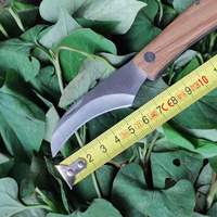 Couteau de greffage et de cueillette de champignons en bois de rose, lame en acier à haute teneur en carbone de 6 cm, portable pour le camping, vente en gros du fabricant