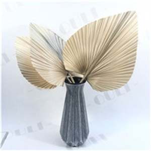 Q-1063 Feuilles de <span class=keywords><strong>palmier</strong></span> séchées naturelles, <span class=keywords><strong>éventail</strong></span> fleuri, écologique, décoration de mariage, Saint-Valentin, décoration de la maison - Product Image 2