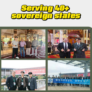 Vente directe d'usine 3D Composite Net Drainage Geonet Géocomposites en tissu non tissé en polypropylène pour la plaine de Drainage de lit de route - Product Image 5