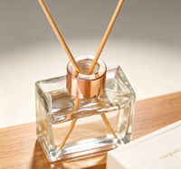 Flacon en verre vide de 100 ml de haute qualité pour diffuseur à bâtonnets d'arômes, idéal pour les huiles essentielles et les liquides d'aromathérapie