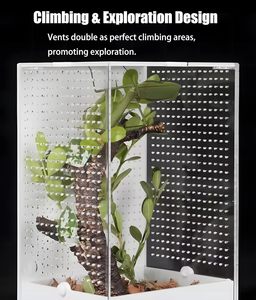 Petit Terrarium Araignée 4.7 \ "X 3.9 \" X 7.8 \ "pour Araignées Sauteuses Mante Priante Autres Invertébrés Présentoir pour Arboréal - Product Image 5