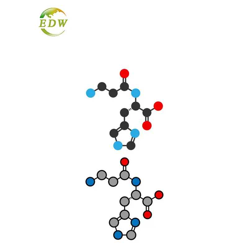 ขายส่งอาหารเกรด L Carnosine L-Carnosine ผง