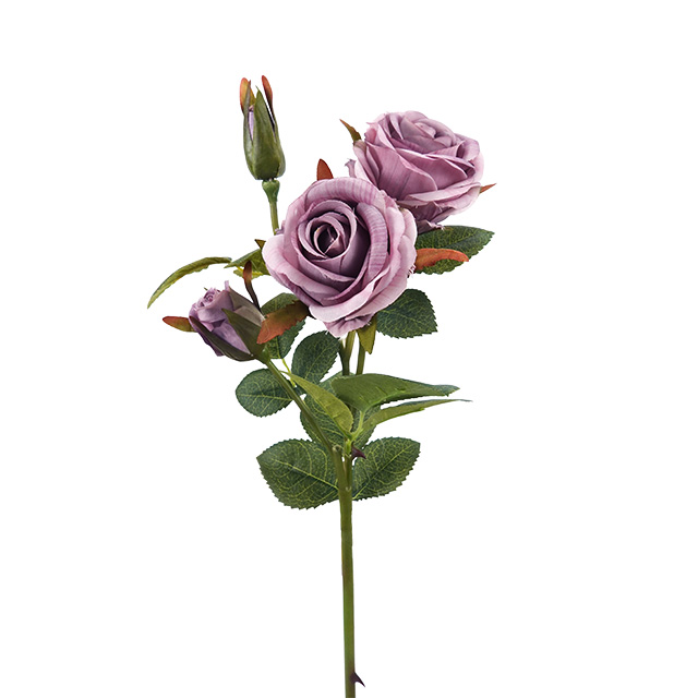Pourpre Gris