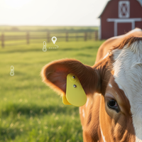 Sistem Pelacakan Hewan Pintar RFID untuk Sapi, Domba, Babi dengan Ear Tag dan BLE untuk Pertanian Cerdas, Konsumsi Daya Rendah HCBB59 IOT