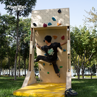 Muro de Escalada para Rehabilitación en Interiores, para Espacios Pequeños, Ángulo Ajustable, Duradero, Expandible, Bajo Costo, para Hogar y Hospital