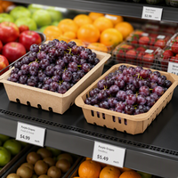 Plateau en carton blanc personnalisé avec logo, ventilé, de qualité alimentaire, thermoscellable, pour fruits (fraises, myrtilles), vente en gros OEM
