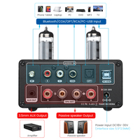 AIYIMA ses T9 BT 5.0 vakumlu tüp amplifikatör USB DAC Stereo alıcı koaksiyel/OPT HiFi ev ses dijital Amp w/VU metre 100W