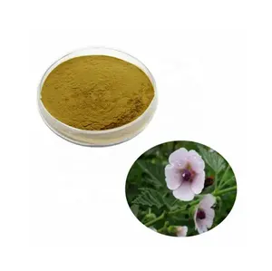 GMP Manufacture Supply Marshmallow Root Extract Powder 10:1 Marshmallow Extract