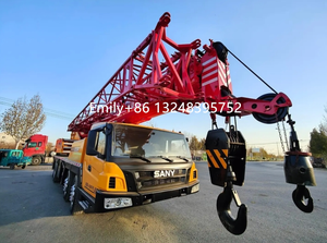Buena calidad usado Sany Crawler Crane 50t 75T 80t 100t 130t 150t 200T 220T 320T 350t en buenas condiciones para la venta - Product Image 2