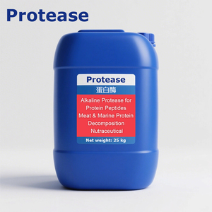 Alkaline protease Probiotics cho nutraceutical thủy phân phân hủy của protein peptide thịt & Protein biển - Product Image 1