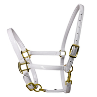 Harnais pour cheval en cuir microfibre. 20 mm de large, deux couches. Imperméable, facile à nettoyer. Produit équin, équipement équestre. LT4009