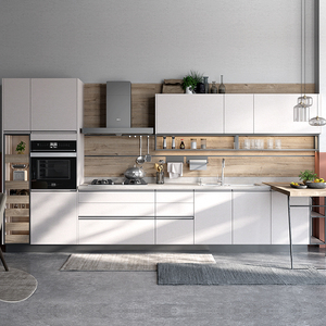 Pannello Moderno in PVC/Acrilico con Lavello e Accessori per Cerniere per Mobili da Cucina Modulari per Appartamenti - Product Image 1