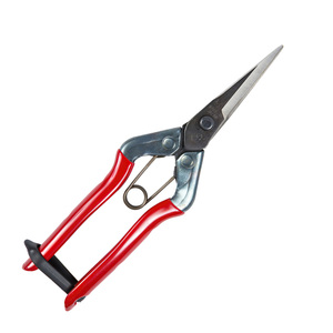 Tijeras Chikamasa Collector T 552 185 mm. - Product Image 1