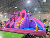 Toboganes Inflables de Agua Alibaba, Castillo Inflable con Tobogán, Tobogán Inflable Rosa