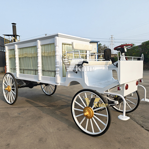 Carroza Fúnebre Eléctrica de Lujo con Diseño de Caballo Negro, Neumáticos de Caucho Sólido, en Venta - Product Image 5