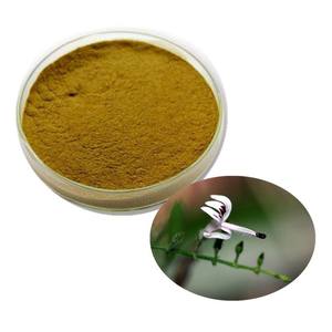 Harga grosir ekstrak <span class=keywords><strong>Andrographis</strong></span> Paniculata 10% bubuk Andrographolide - Product Image 4