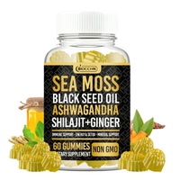 Gommes sans sucre à base d'algues marines, d'huile de nigelle, d'ashwagandha, de gingembre et de shilajit pour la santé intestinale, l'énergie et le soutien immunitaire des adultes