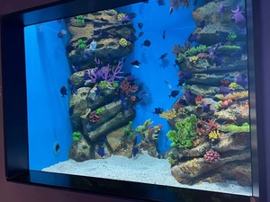 Peceras de acuario ultraclaras grandes personalizadas, pecera rectangular de 500 galones - Product Image 6