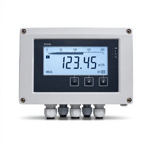 Indicador de Proceso Endress Hauser RIA46 100% Original con Unidad de Control y Certificación SIL2 - Product Image 3