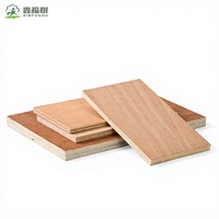 Contrachapado de Álamo de Grado E1 de 18 mm con Superficie Lisa, Tablero Comercial Económico para Muebles y Construcción General