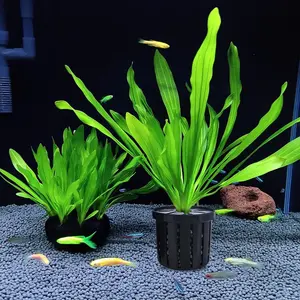 Aquariumplantmand Met Milieuvriendelijke Potten Voor Moderne Aquariumaccessoires Plastic Bulkgroothandel - Product Image 1