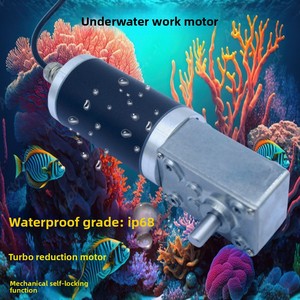<span class=keywords><strong>Moteur</strong></span> DC à engrenages à vis sans fin étanche IP68 12V 24V 80W autobloquant à couple élevé 5840-42, <span class=keywords><strong>moteur</strong></span> submersible pour robotique sous-marine - Product Image 4