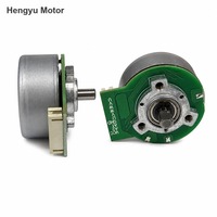 Moteur sans balais BL4018W 12V DC 27.43W 274.62mNm pour actionneur de registre de soupape OEM ODM