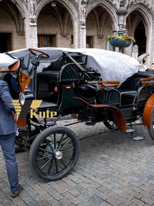 Charrette électrique de type calèche à châssis renforcé, chariot de tourisme vintage avec décoration de lampe personnalisée pour le service des sites touristiques - Product Image 3