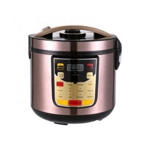 Nouveau populaire National chaud de haute qualité Pot intérieur en fonte numérique cuiseur multifonctionnel cuiseur à riz électrique