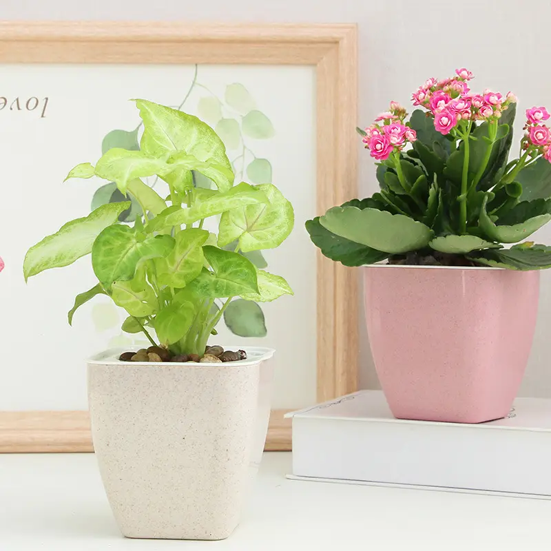 Pot de fleurs en plastique à technologie nordique, bikini, arrosage automatique des plantes