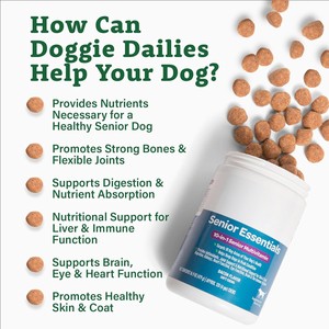 Multivitamine à mâcher souple 10 en 1 pour animaux de compagnie, vitamines d'absorption des nutriments, probiotiques EPA DHA pour compléments alimentaires pour chiens - Product Image 4