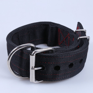 2 ''Grote Pp Hondenhalsband Met Ontsnapping Metalen Riem Massief Lint Training Voor Grote Honden Huisdier Product - Product Image 6