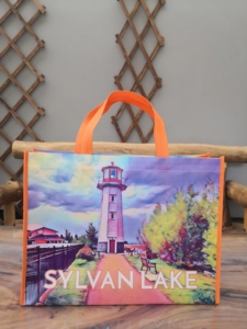 Customized Logo Eco-Friendly Reusable Supermarket Grocery Shopping Bag <b>Folding</b> Non-Woven Cloth Bag for Promotions - Product Image 2