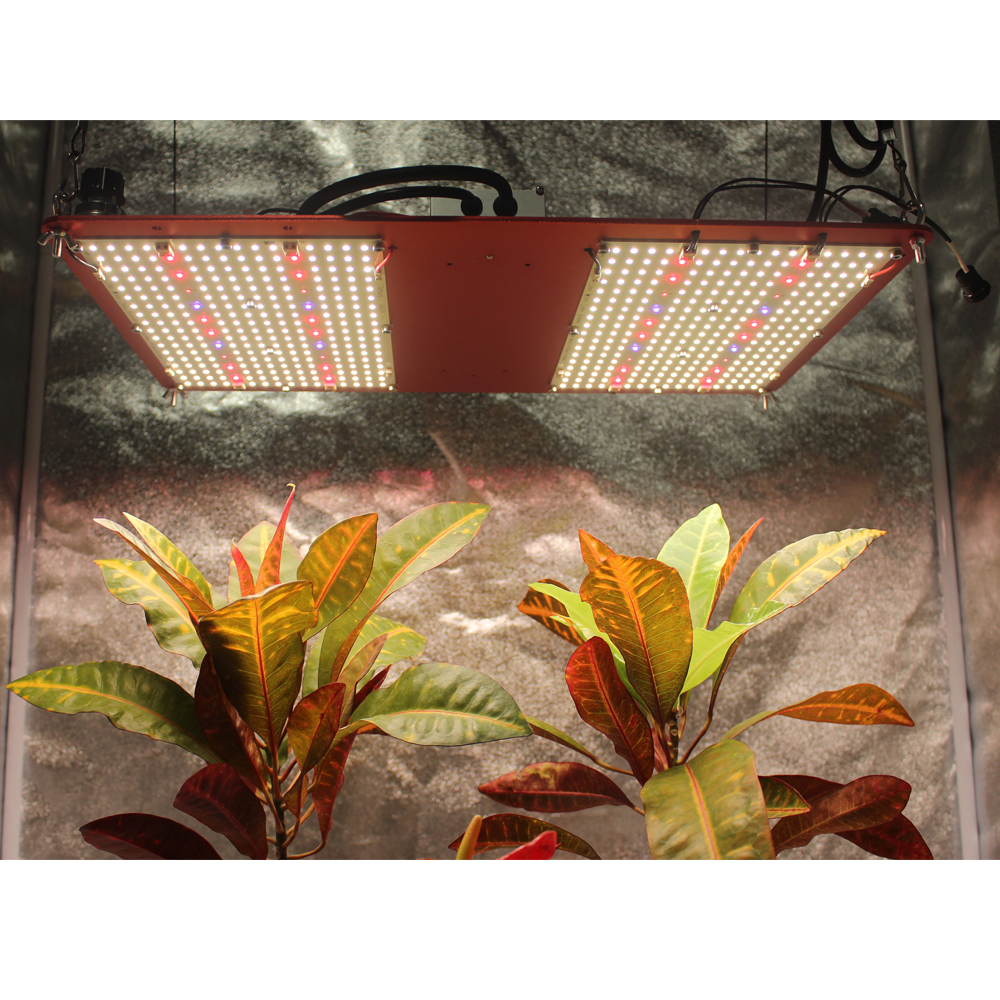 Figolite Grow Light 240w LED V5 Board LM301H UV IR Switch