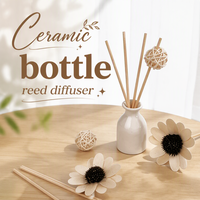Diffuseur de parfum haut de gamme en céramique blanche avec boules décoratives en rotin, parfum personnalisé pour cadeau de fêtes