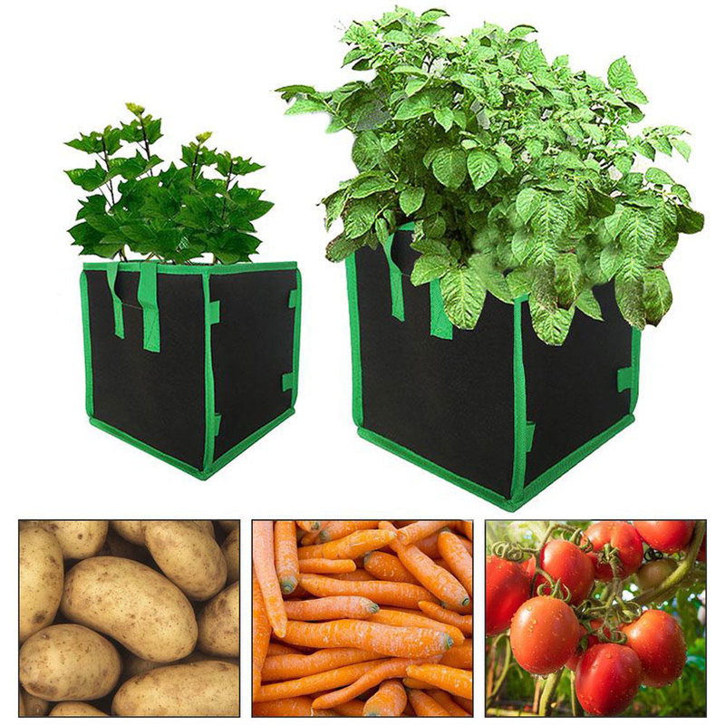 Grow Bag