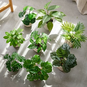 Plantas Artificiales en Maceta CallaFloral de 32 cm, Hojas de Monstera, Decoración de Interiores, Decoración de Bodas, Vegetación - Product Image 1