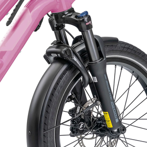 LEWEE Vélo électrique <span class=keywords><strong>cargo</strong></span> 36V 13.4 Ah/500Wh Batteries lithium 7 vitesses Vélo <span class=keywords><strong>cargo</strong></span> électrique pour adulte - Product Image 3
