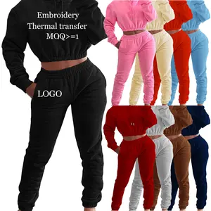 Neuankömmling Solid Long Sleeve Hoodies 2-teiliges Set Gym Jogger Casual Trainings anzüge Custom Plus Size Outifted Sports Damen-Sets