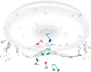 Plafonnier LED avec haut-parleur intégré, pour douche stéréo, étanche, lumière à couleur changeante, avec musique, idéal pour une salle de bain, une cuisine ou un couloir, 18W, 2 unités