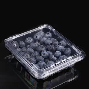 Disposable Clear Plastic Blister Clamshell Fruit Vegetable Container Packaging Box