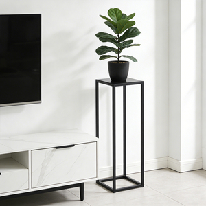 Support de Plantes Haut et Moderne en Métal, Porte-Fleurs Minimaliste en Fer, Présentoir sur Pied pour Salon, Chambre et Balcon - Product Image 1