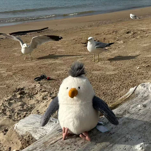 Nuovo Peluche Jelly Cat Chipper Seagull Super Morbido, Giocattolo Imbottito, Accessorio per Vacanze, Compagno per Patatine Fritte, Spiaggia <span class=keywords><strong>e</strong></span> Mare - Product Image 5