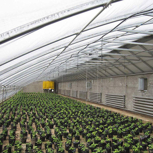 Serre agricole à faible coût à simple portée pour l'hivernage des plantes, mur en briques, isolation, structure de serre - Product Image 3