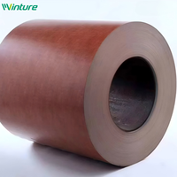 Bobina de Acero Galvanizado Prepintada PPGI, Color RAL, Recubrimiento PE SMP PVDF, para Estructuras de Acero de Electrodomésticos