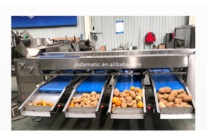 آلة تصنيف الكلور الكهربائية للفواكه والجزر والعاطفة والكيوي آلة تصنيف الكلور الكهربائية للفواكه والخضروات خط معالجة الفراولة - Product Image 4