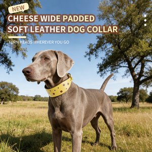 Collier pour chien en cuir jaune de luxe moderne personnalisé avec boucle en métal à rivets, doux et durable, design imprimé personnalisé - Product Image 3