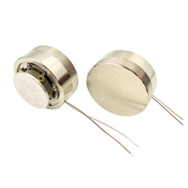 Taidacent 4Ohm 50W Pillow Speaker Bone Conduction Speaker Vibrator Horn for Musical Instrument Massage Mattress Deep Sleeping