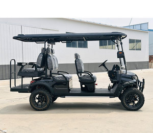 Meilleur <span class=keywords><strong>prix</strong></span> de vente <span class=keywords><strong>5</strong></span>-6 sièges Batterie colloïdale chariots de <span class=keywords><strong>golf</strong></span> électriques pour Club Car certifié CEE avec certificat GCC - Product Image 5