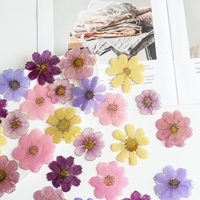 Kit Resin Epoksi DIY untuk Anting Bunga Gesang, Poppy, Daisy, Aksesoris Perhiasan Bergaya Hutan Ultra-Fairy, Buatan Tangan Murni